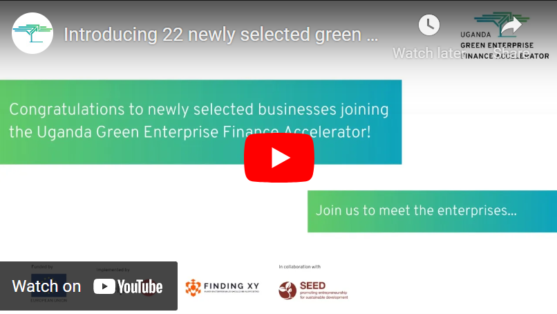 Introducing 22 newly selected green business joining the UGEFA Catalyser programme